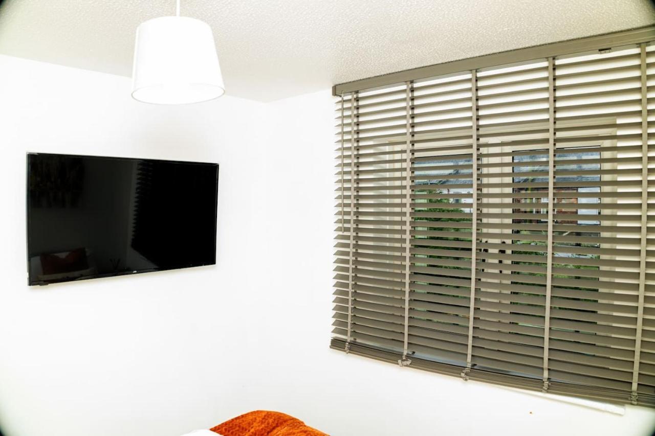 Apartment Dynasty - Alison Kelly Close *