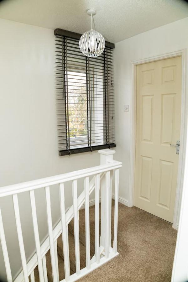 Apartment Dynasty - Alison Kelly Close *